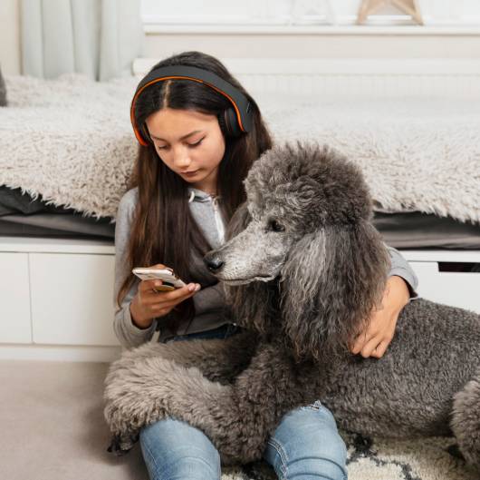 Mädchen schaut auf ihr Handy, während sie auch ihren Hund hält dog