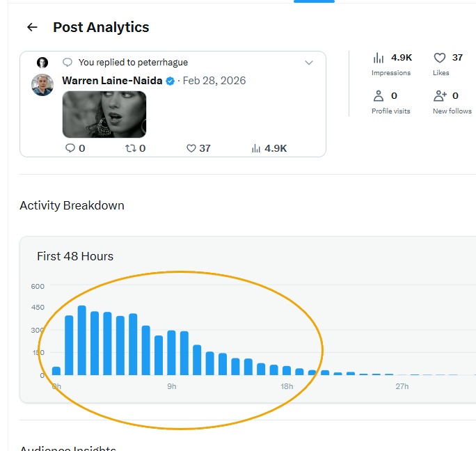 Twitter-Statistiken von Warren Laine-Naida